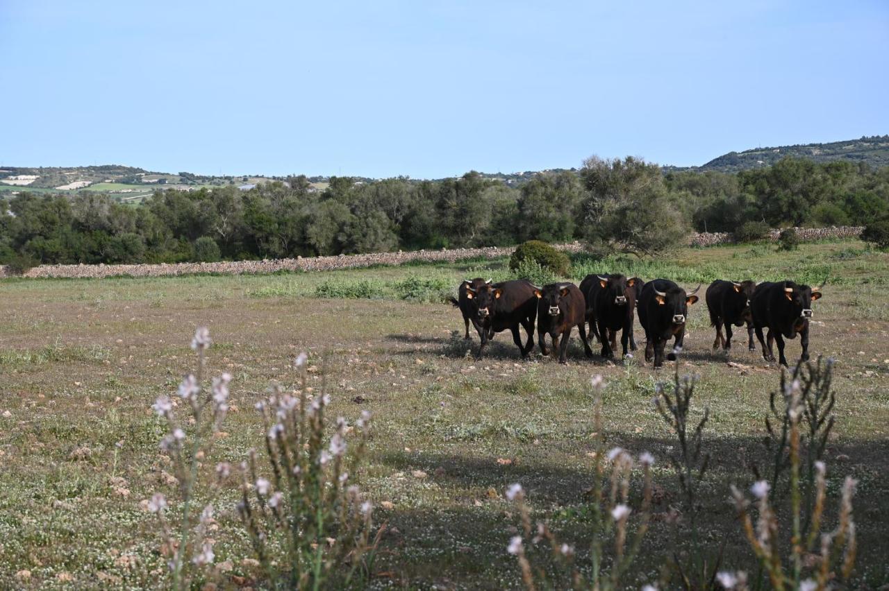 Farm stay Sa Cova Vella *