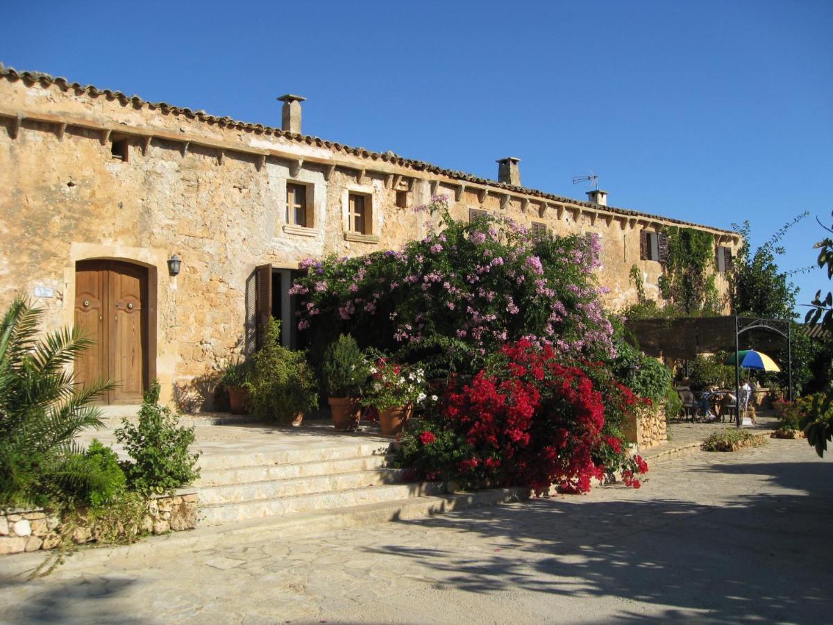 Sa Cova Vella Farm stay