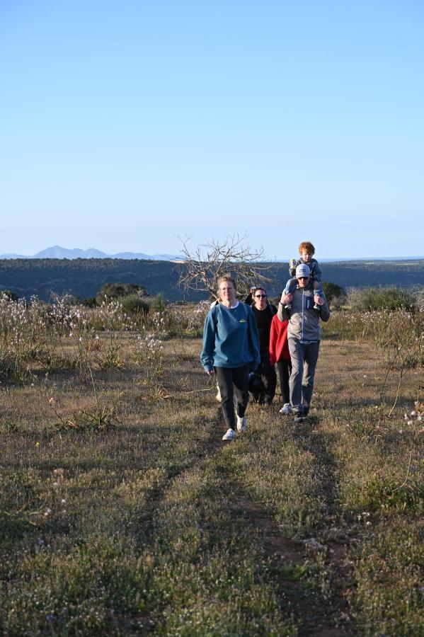 Sa Cova Vella Farm stay *