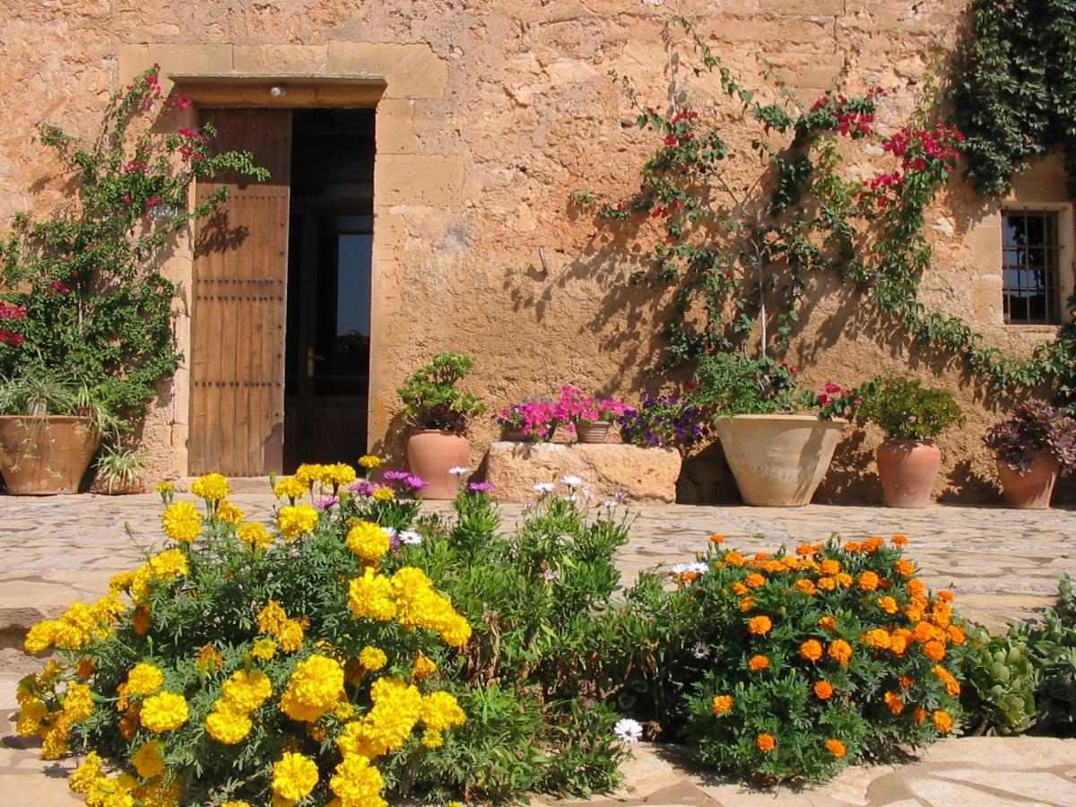 Farm stay Sa Cova Vella
