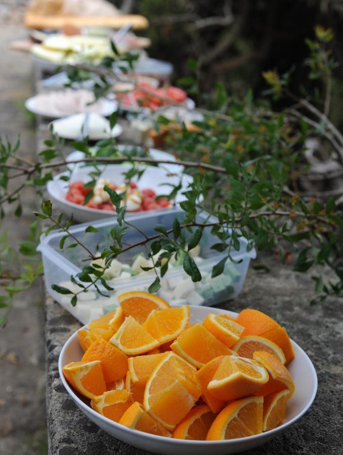Sa Cova Vella Farm stay