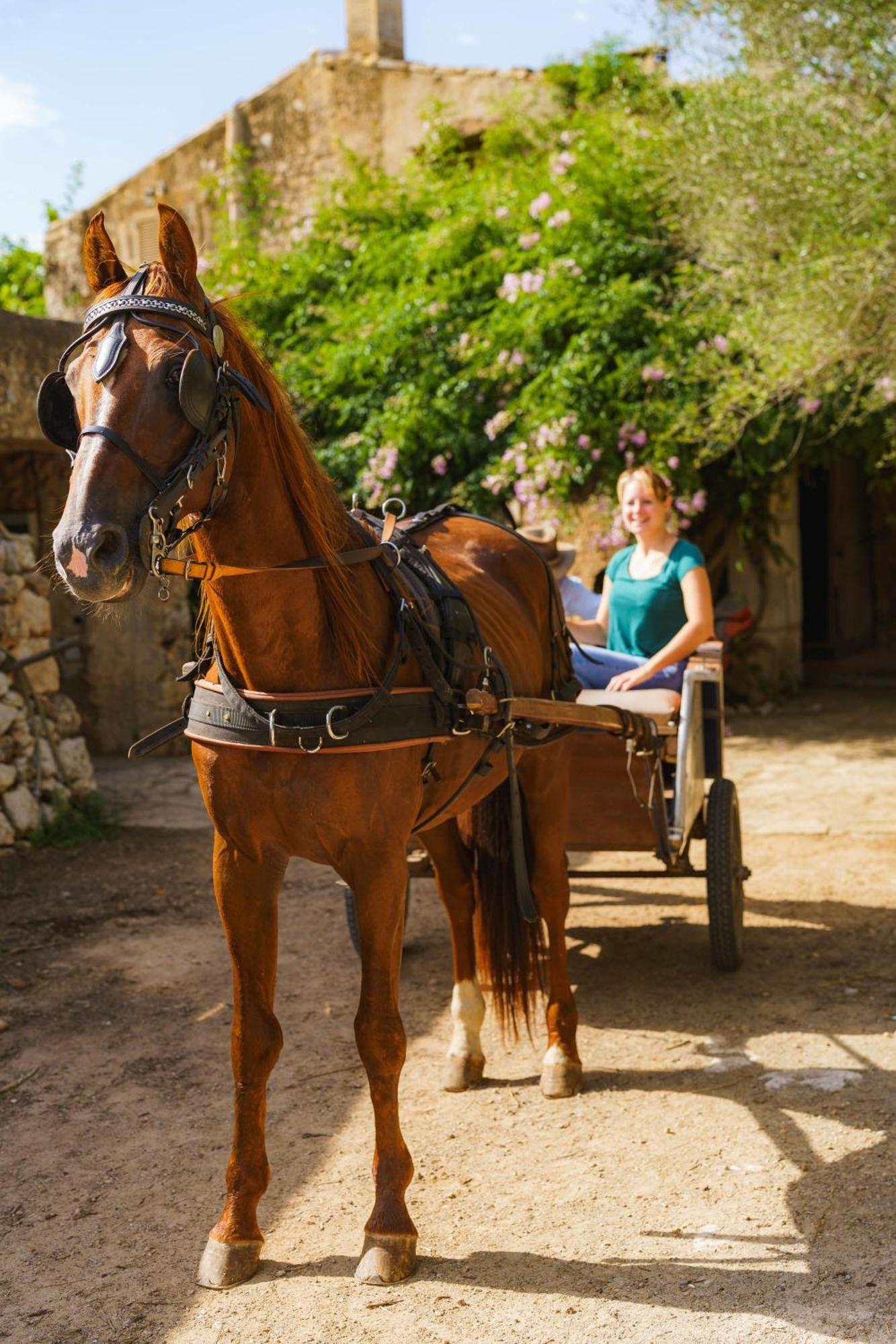 Sa Cova Vella Farm stay Manacor (Mallorca)
