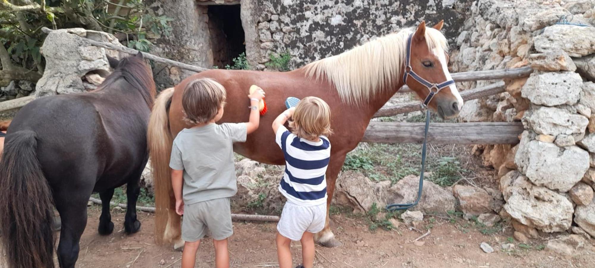 Farm stay Sa Cova Vella Manacor (Mallorca)