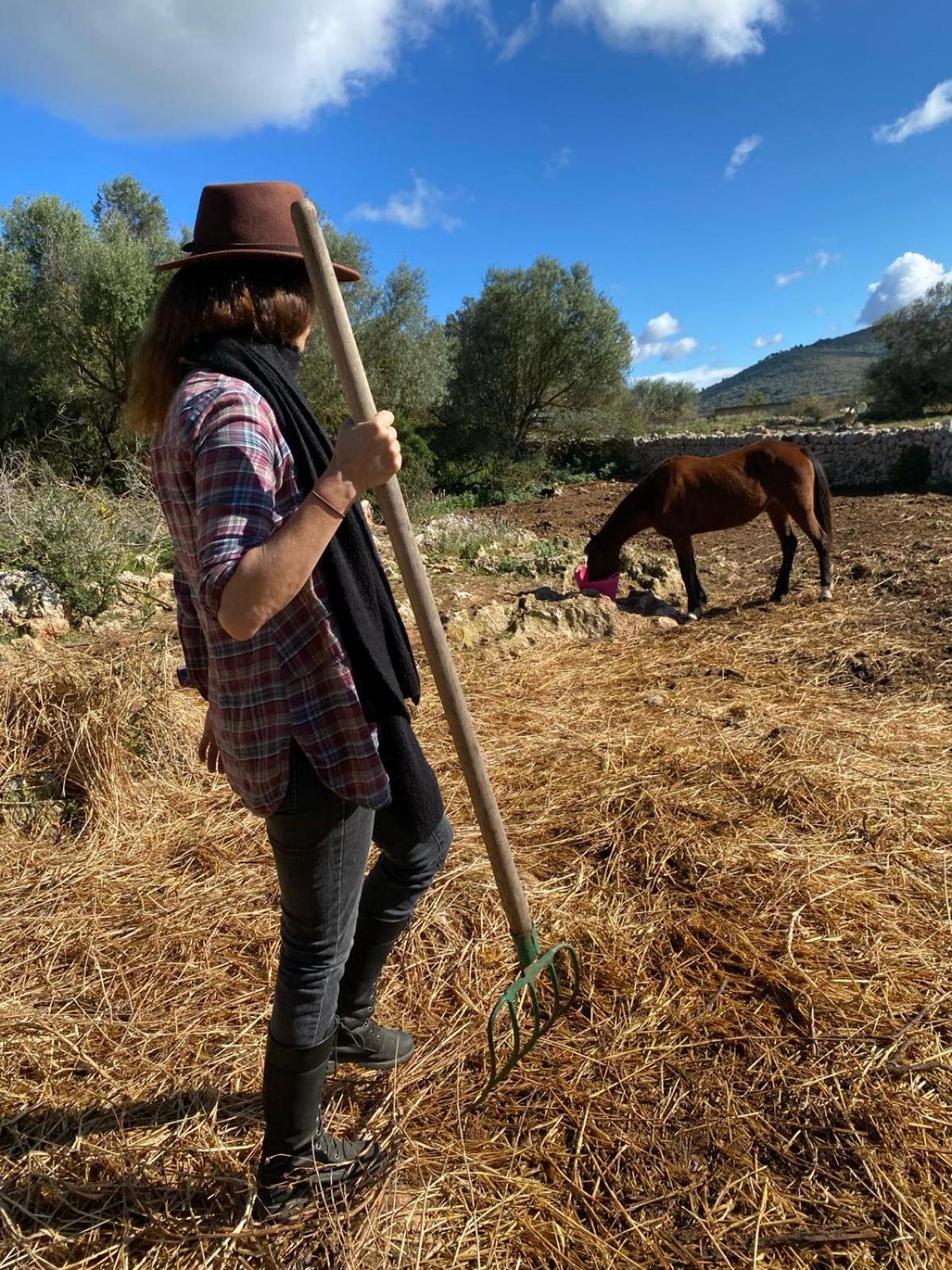 Sa Cova Vella Farm stay