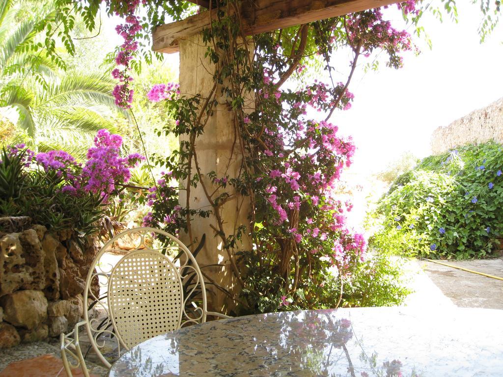 Farm stay Sa Cova Vella *