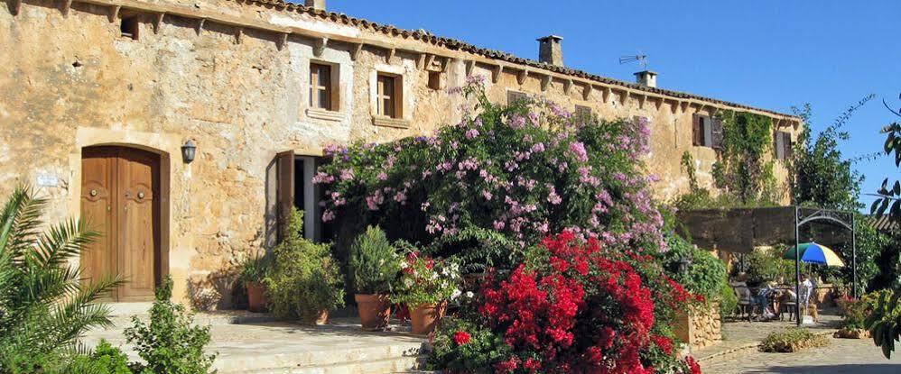 Farm stay Sa Cova Vella *